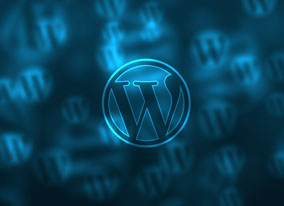 Wordpress design